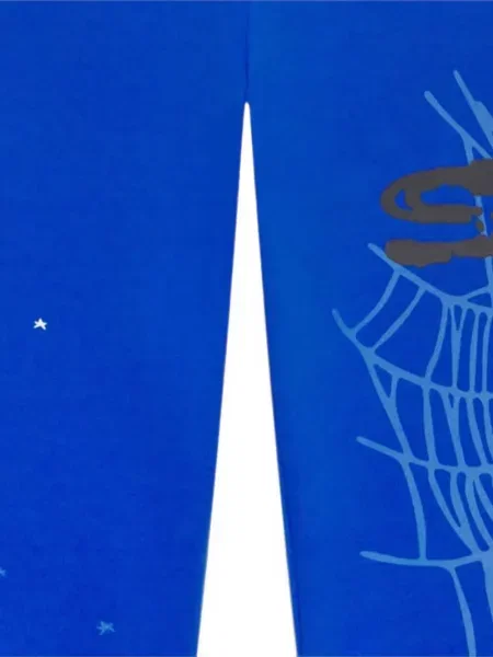 Σορτς Sp5der με σχέδιο μπλε