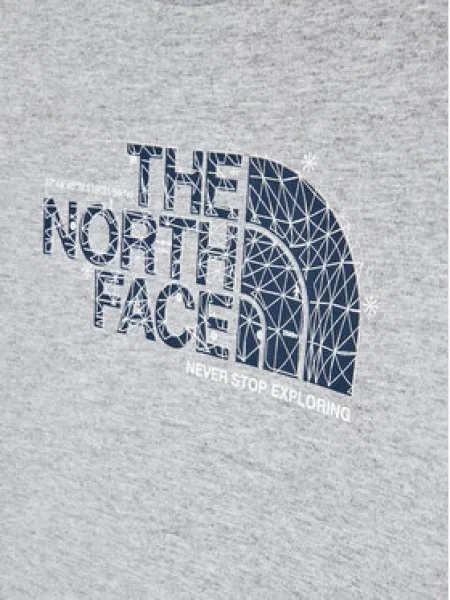 The North Face Marškinėliai Graphic Regular Fit pilka