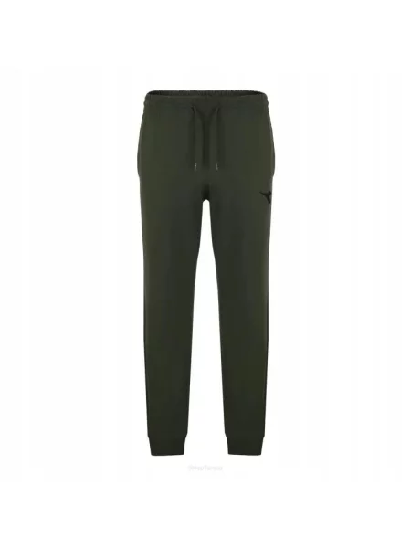 Spodnie tenisowe Diadora Pants ESS. zielone