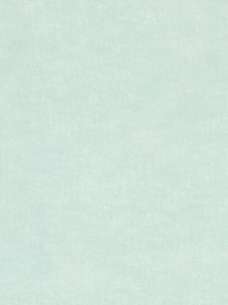 Tričko Paloma Wool modrá