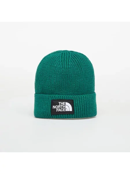 Čepice The North Face zelený