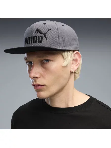 PUMA Czapka z pÅ‚askim daszkiem Essentials z logo Akcesoria OSFA szary