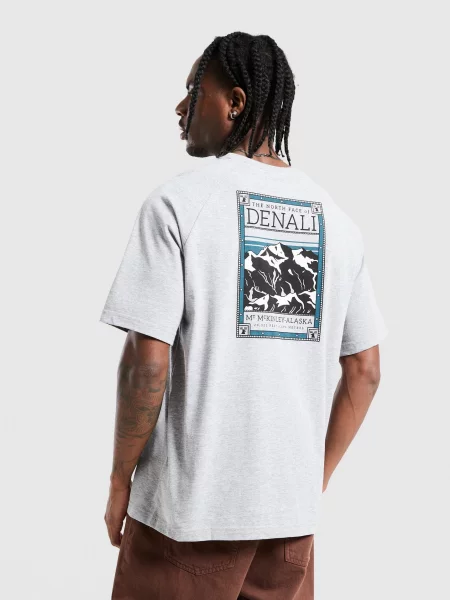 The North Face T-Shirt North Faces szara