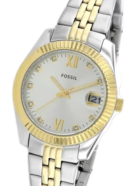 Ceas Fossil