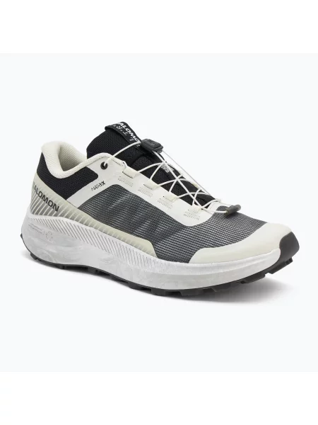 Мъжки обувки за бягане Salomon Vision vanilla ice/lunar/rock/black черно