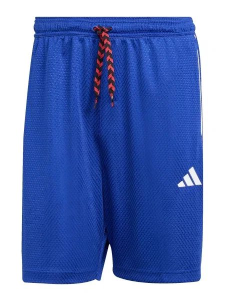 ADIDAS SPORTSWEAR Pantaloni sport TIRO albastru / roșu alb