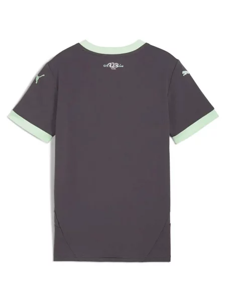 Tricou copii Puma gri
