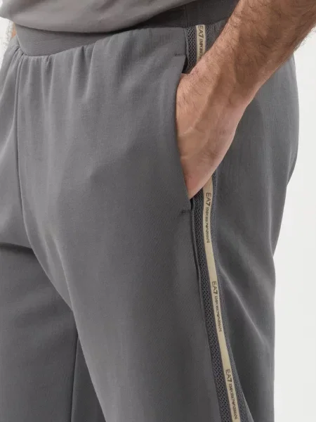 Спортивные штаны Ea7 Emporio Armani серые