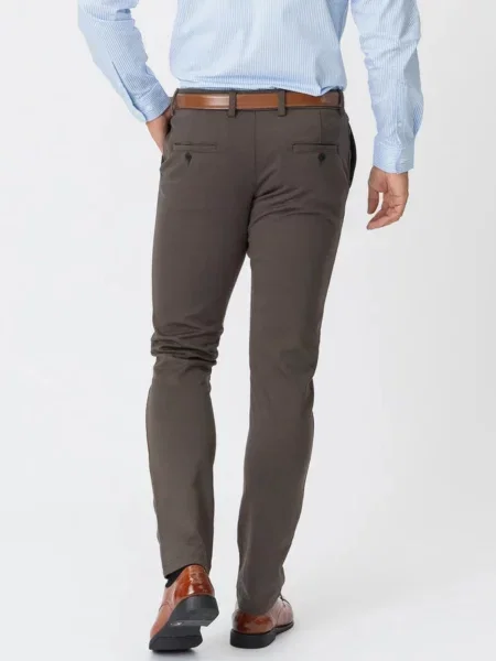 TEESHOPPEN Pantaloni The Original închis maro