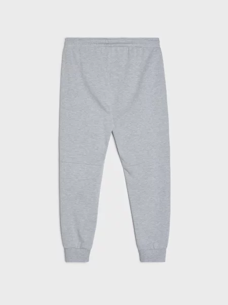 Спортивні штани джогери сірий