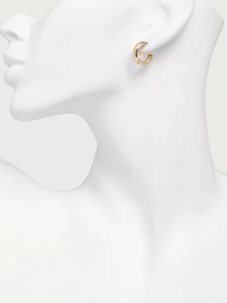DKNY сережки