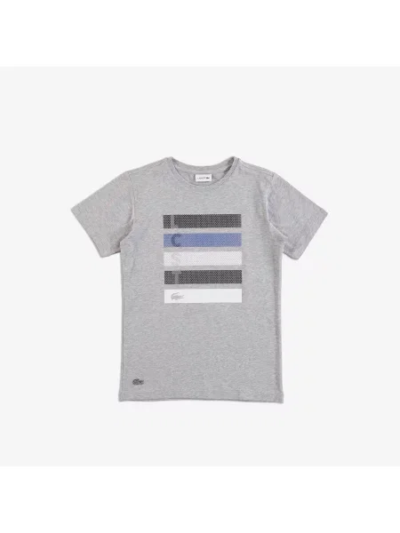 Футболка Lacoste.com серая