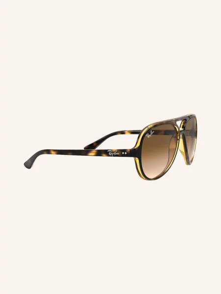 Ray-Ban Sluneční Brýle 51 havana/ přechod hnědý
