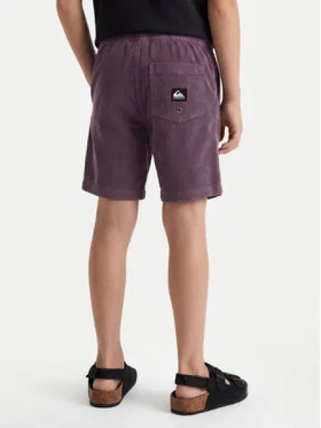 Quiksilver Medžiaginiai šortai Taxer Cord violetinė