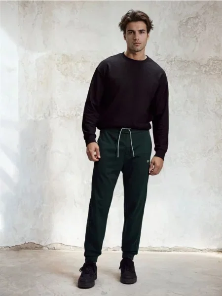 Спортивні штани джогери темно-зелений зелені