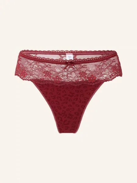 Lingadore Stringi Daily rot