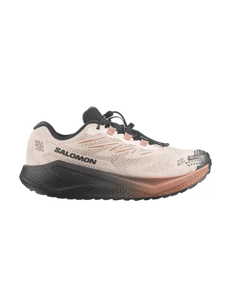 Salomon încălțăminte pentru alergare pentru bărbați AERO BLAZE 4 GRVL GTX bej