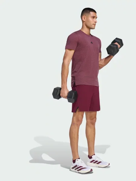 Спортивные шорты Adidas