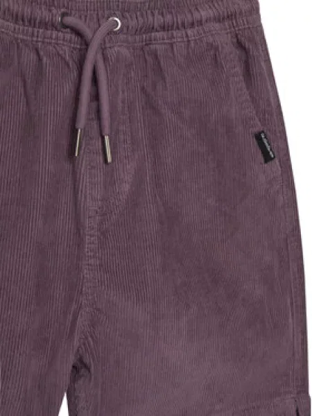 Šortky z materiálu Quiksilver fialové