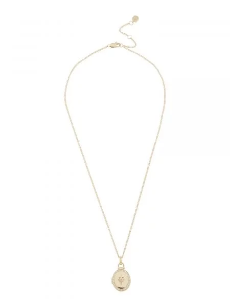 Palton Fossil transparente