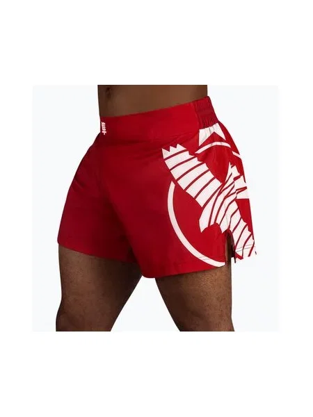 Тренувальні шорти Hayabusa Icon Kickboxing червоні