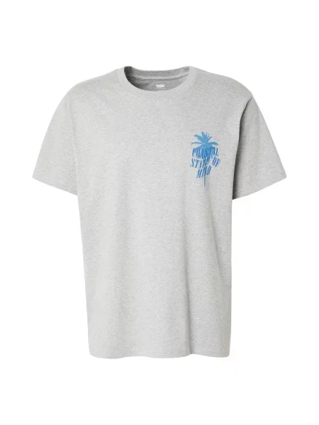 LEVI'S ® Tricou Relaxed Graphic Tee albastru / albastru deschis / deschis gri