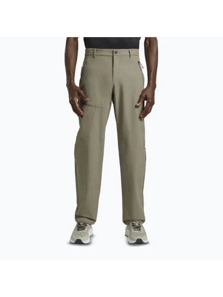 Pantaloni de trekking pentru bărbați Jack Wolfskin Pico Trail stone