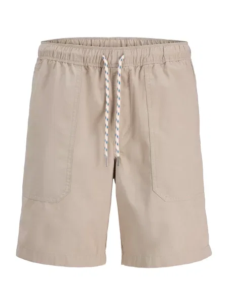 Jack & Jones Plus Kelnės JPSTJAIDEN' pilka