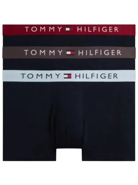 Chiloți Tommy Hilfiger gri