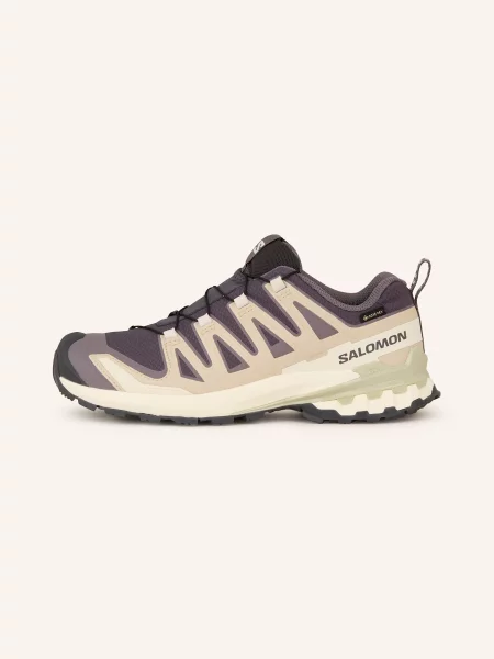 Salomon Buty Turystyczne Xa Pro 3d v9 Gtx grau fioletowe