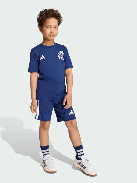 Костюм Adidas синий