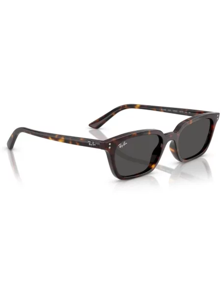 Hodinky & Bižuterie Ray-ban ZAYA UNISEX hnědé