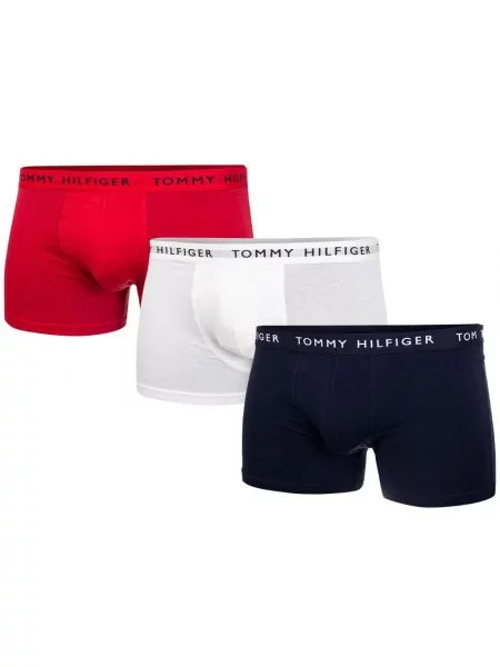 Boksarice Tommy Hilfiger