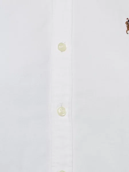 Polo Polo Ralph Lauren cu broderie gri