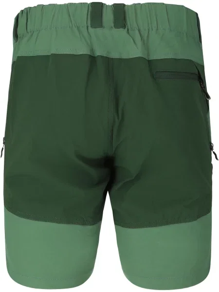 Szorty Whistler Kodiak zielone