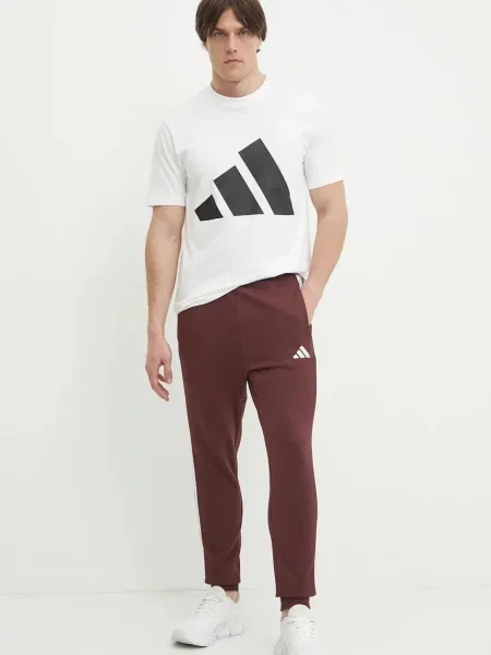 Спортивні штани adidas Essentials з аплікацією бордовий