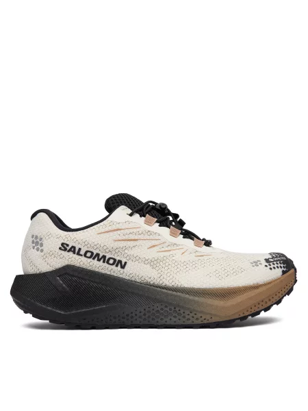 Pantofi pentru alergare Salomon Aero Blaze 4 gtx GORE-TEX bej