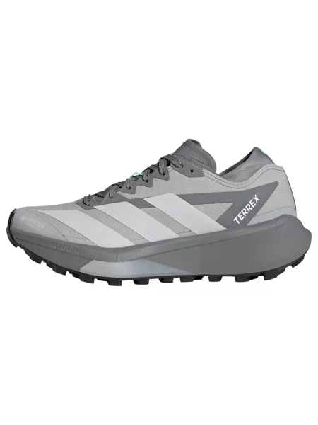 ADIDAS TERREX Tenisice za trčanje Agravic GTX 2 / svijetlosiva siva