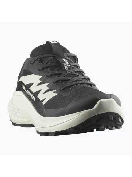 Кросівки для бігу Salomon Alphaglide black/phantom/icicle чорні