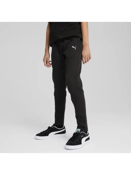 PUMA Młodzieżowe spodnie Evostripe Odzież czarny