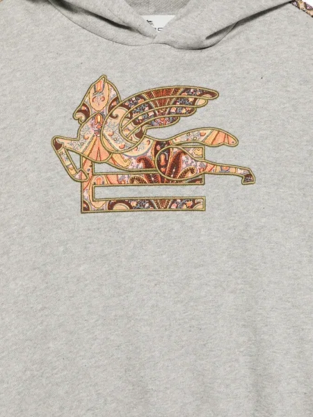 Bluza z kapturem dziecięca Etro szara