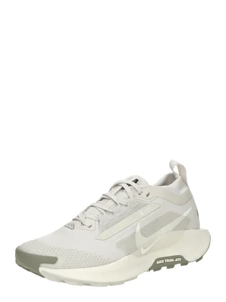 Sneakerși Nike Pegasus gri