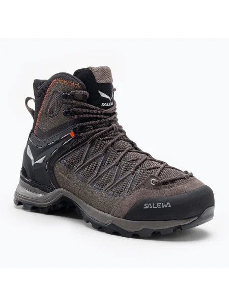 Cizme de trekking pentru bărbați Salewa MTN Trainer Lite Mid GTX gri