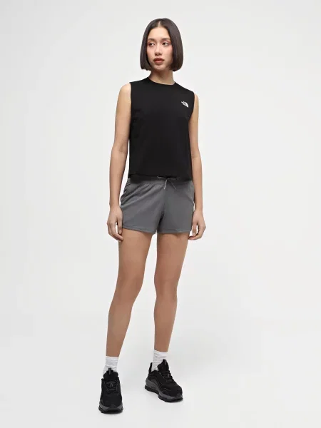 Короткие спортивные шорты The North Face серые