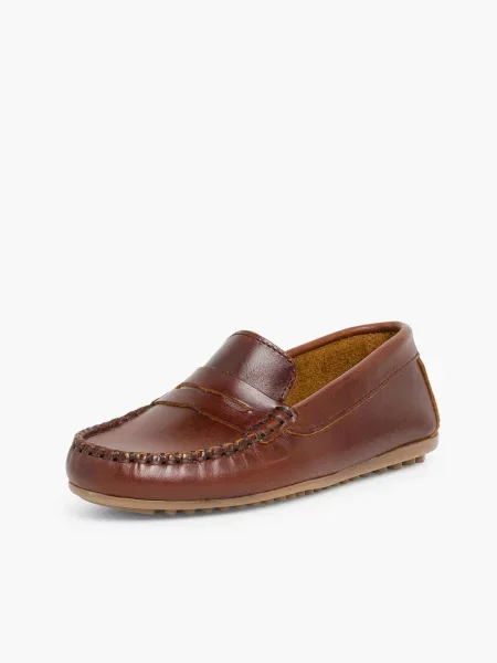 Pisamonas Polobotky hnědá