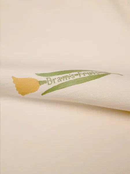 Tricou Bram’s Fruit cu imagine