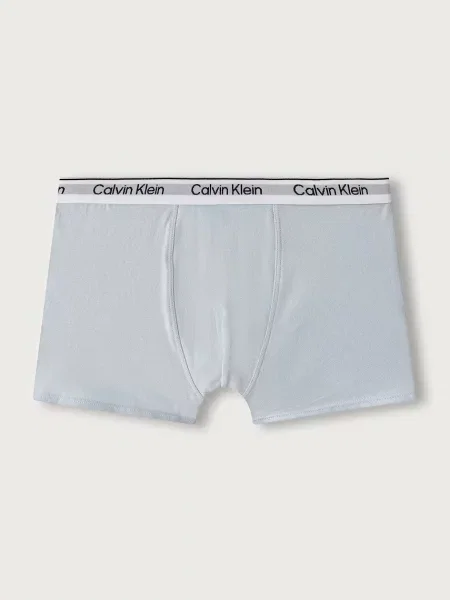 Calvin Klein Underwear testhezálló boxeralsó gyerek elasztánnal csomag szürke